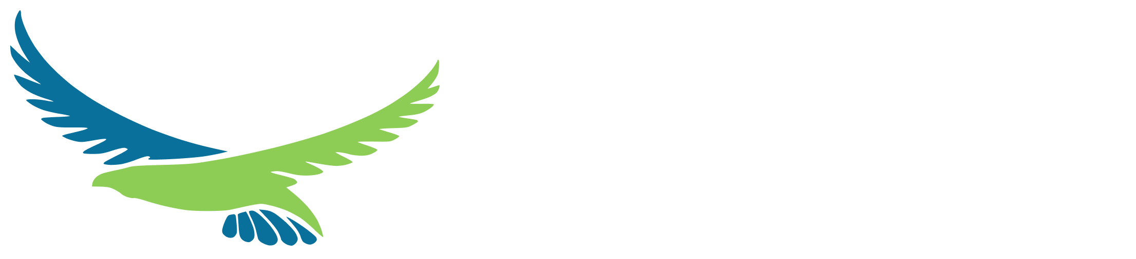 Hawk Energy